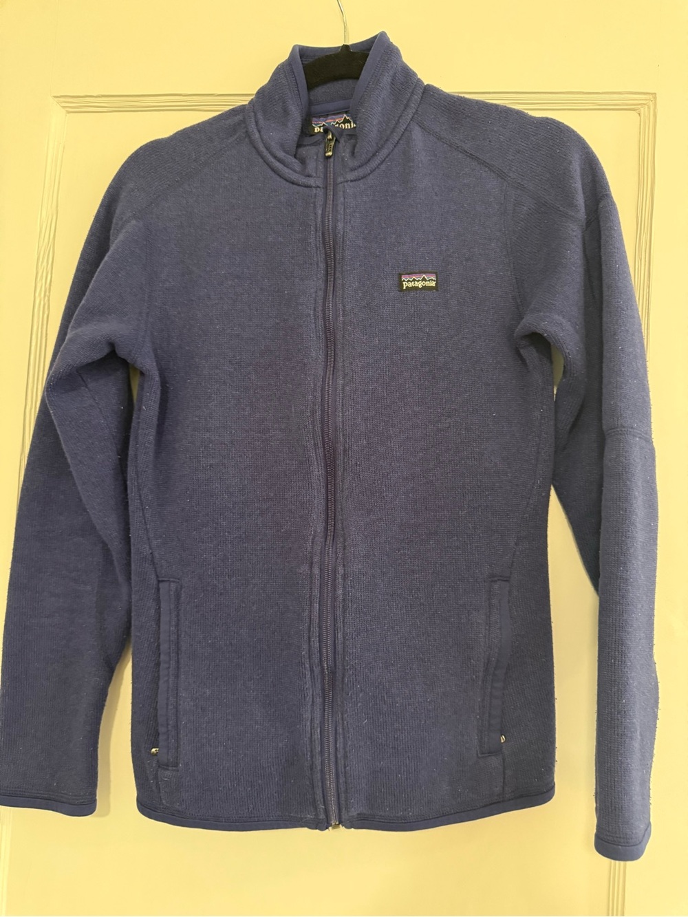Patagonia Blue Full-Zip Women's Fleece Jacket
